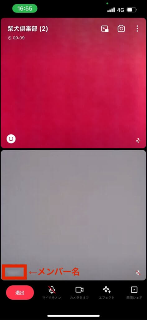 LINEグループビデオ通話画面メンバー名確認
