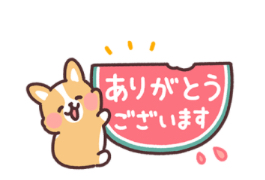 夏のまるまるコーギー♡アレンジできる！スタンプありがとうございますスタンプ表示