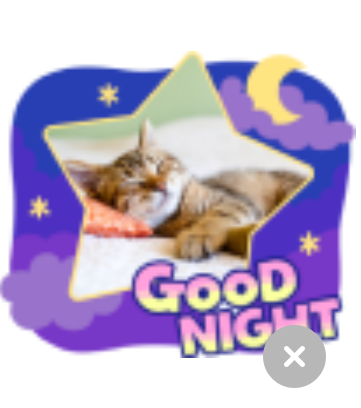 LINEスタンプメーカーフレーム猫GOODNIGHY表示