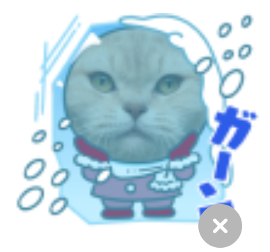 LINEスタンプメーカーフレーム猫雪ガーン表示