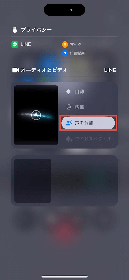 音声分離設定画面